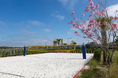 a volleyball net on the beach with a tree at Cozy Home Storey Lake Resort Pool Spa Near Disney in Kissimmee