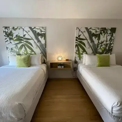 Newly renovated room in cozy hotel near Disney 2