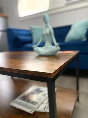a figurine sitting on top of a coffee table at The Oasis in Sanford