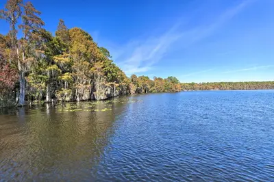 a large lake with trees on the shore at 1 Mi to Disney World Lakefront Condo in Orlando! in Orlando