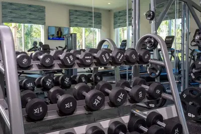 a bunch of dumbbells in a gym at Magnificient 4Bd w Pool @ Storey Lake Resort 2648 in Kissimmee