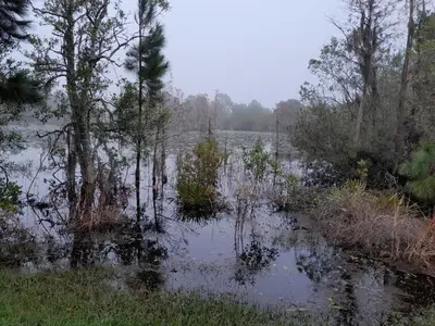 a flooded field with trees and a field of water at Three-Bedroom House in Clear Creek in Orlando