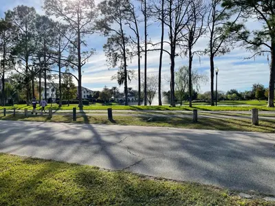 a road in a park with trees and grass at House close Baldwin-park Lake & Downtown Orlando in Orlando