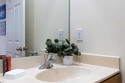 a bathroom sink with a potted plant on it at Amazing Townhouse for 6 people near Disney in Kissimmee