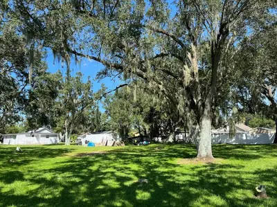 a tree in the middle of a green field at Home in Kissimmee with Huge Backyard in Kissimmee