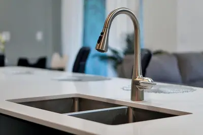 a kitchen sink with a dog in the background at Storey Lake Escape w/ Pool, Games & Water Park in Kissimmee