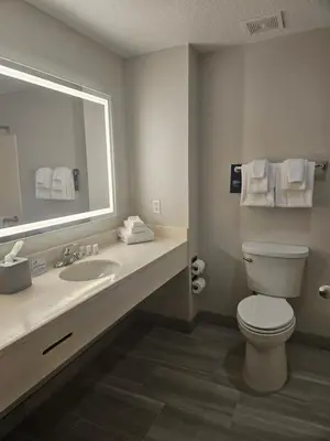 a bathroom with a toilet and a sink and a mirror at Holiday Inn Express & Suites Clermont SE - West Orlando by IHG in Orlando