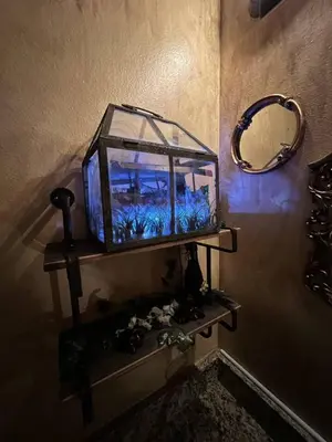 a fish tank sitting on a shelf in a bathroom at Magical Themed Home, Potter, Peter Pan 3mi Disney in Kissimmee