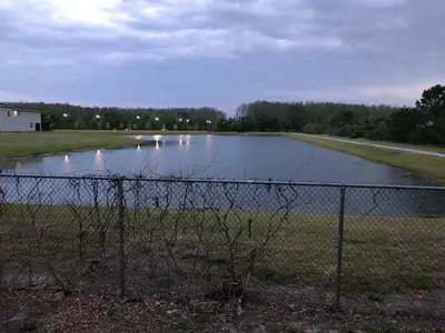 a pond with swans in the water behind a fence at Cozy apartment near Disney with 3 bedrooms 58 in Kissimmee