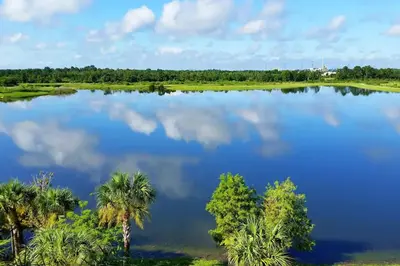 an aerial view of a lake with palm trees at Marvel-Themed, Spacious Condo Near OCCC, Sea World, Disney, and Universal with Extra Amenities in Orlando