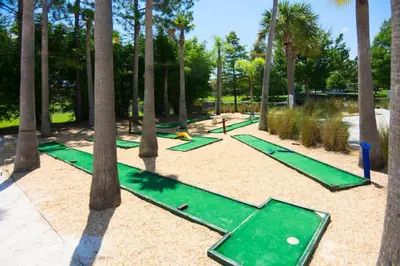 a group of golf putting greens in a park with palm trees at 161 - 4 bed Gem at Terraverde Resort in Kissimmee