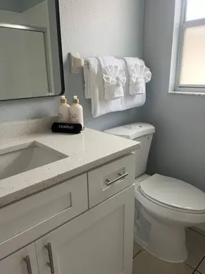 a bathroom with a toilet and a sink and a mirror at Disney World Vacation Home in Orlando