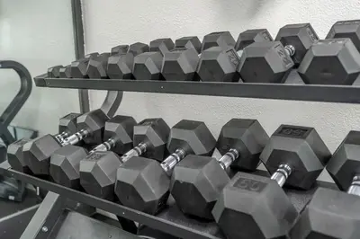 a bunch of gray dumbbells on a shelf at Beautiful Zen Nest 1mile New EPIC Universe in Orlando