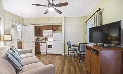 a living room with a couch and a flat screen tv at Beautiful Hotel of Cypress Palms 1BD near Kissimmee Lakefornt Park in Kissimmee