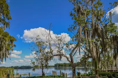 a view of a lake with a bunch of trees at Diamond Bryans Spanish Cove 2BD in Orlando