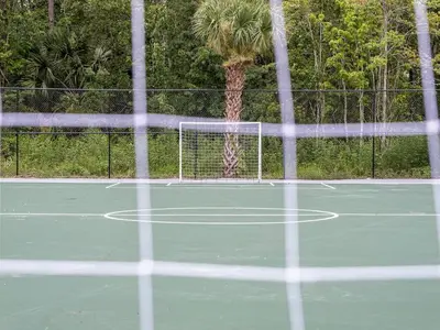a net on a tennis court with a palm tree at Comfy 1BR Space in Orlando & 5 minutes to Disney in Vineland