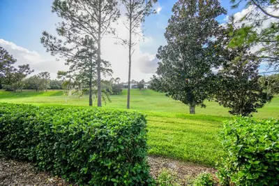 a hedge in front of a green field with trees at Casa Mickey in Orlando