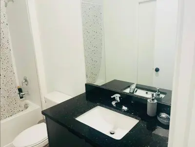 a bathroom with a black sink and a toilet at Tranquil Trail Bungalow in Kissimmee