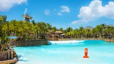 a large pool at a theme park with palm trees at The Cabins at Disney's Fort Wilderness Resort in Orlando