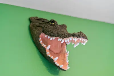 a toy crocodile head on a green wall at Luxury Design with close proximity to DISNEY in Kissimmee