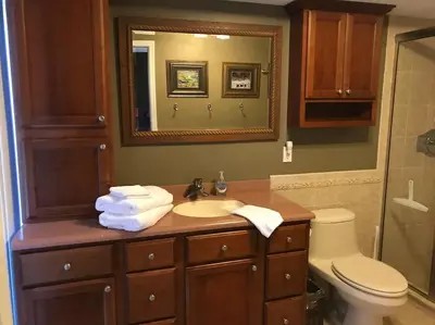 a bathroom with a sink and a toilet and a mirror at Lakefront Home Where You Can Retreat and Relax in Orlando