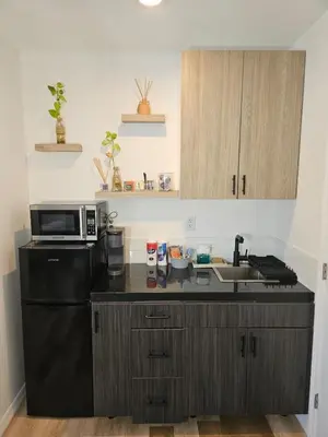 a kitchen with a black refrigerator and a microwave at Newly Renovated Modern Studio in Oviedo
