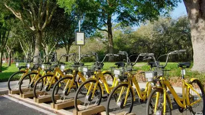a row of yellow bikes parked in a park at 5-Star Orlando Townhome 6423 - Resort Amenities Near Disney in Kissimmee