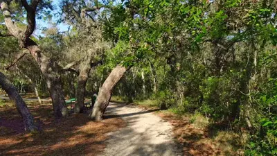 a dirt road through a forest with trees at Orlando 6424 Townhome: Family Fun Close to Disney in Kissimmee