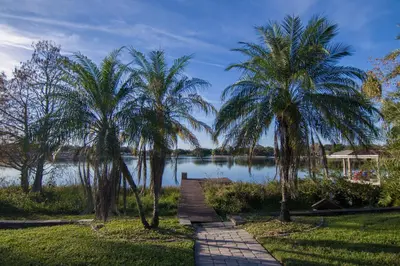 two palm trees and a walkway next to a lake at Lakefront and Pool 4bed Orlando House Near Downtown 20 minutes from Attractions in Orlando
