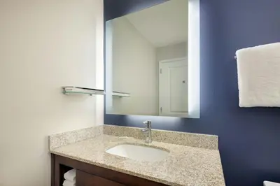 a bathroom with a sink and a mirror at Residence Inn by Marriott Orlando Downtown in Orlando
