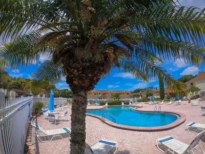 a palm tree sitting next to a swimming pool at 2971 COTTAGE GROVE COURT ORLANDO 3BED in Orlando