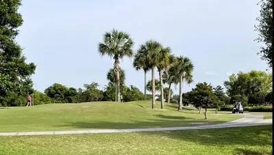 a golf course with palm trees on a hill at 2971 COTTAGE GROVE COURT ORLANDO 3BED in Orlando
