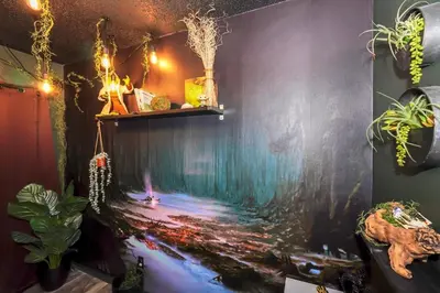 a room with a fish pond on the wall at Galactic 7-Bedroom Villa 3 Miles to Disney Star Wars Galaxy Edge in Kissimmee
