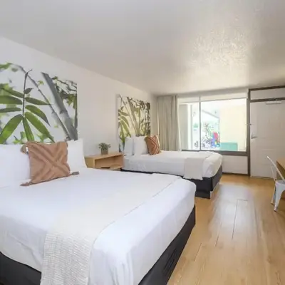 Modern- 2 Queen bed suite with pool near Disney World