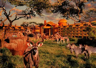 a group of animals in a field in front of a building at Disney's Animal Kingdom Villas - Kidani Village in Orlando