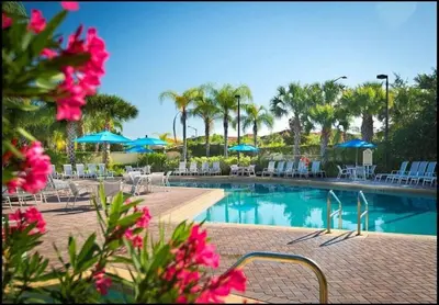 a swimming pool with chairs and umbrellas and pink flowers at Finding Nemo House at Caribe Cove Resort - Sage Vacations in Kissimmee