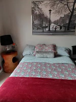 a bedroom with a bed with a red blanket at COZY BRIGHT SINGLE Room in Orlando