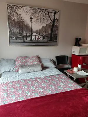a bedroom with a bed and a picture on the wall at COZY BRIGHT SINGLE Room in Orlando