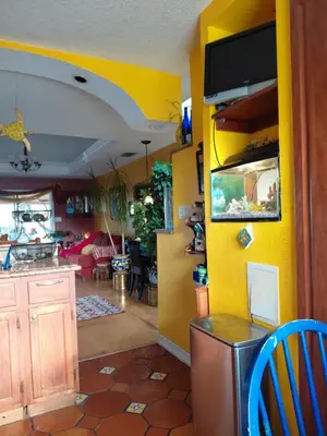 a living room with a yellow wall at COZY BRIGHT SINGLE Room in Orlando