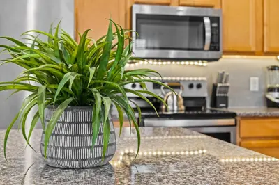 a potted plant sitting on a counter in a kitchen at Family Nest 4-Bedroom Home Near Disney World in Kissimmee
