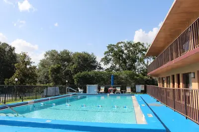 a swimming pool with ducks in the water at Oak Ridge Inn in Kissimmee
