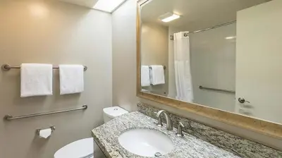 a bathroom with a sink and a mirror and a toilet at Marriott's Royal Palms 2BR Apartment with Resort Access in Orlando