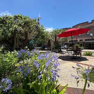 Peace in the Garden - Home in Winter Garden