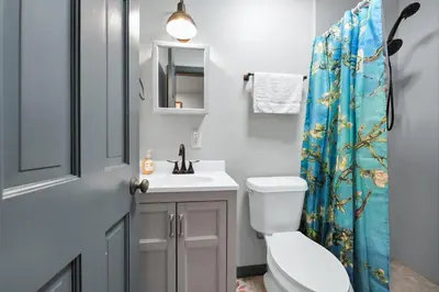 a bathroom with a toilet and a sink and a shower curtain at Serenity Spring Lake King Suite in Orlando