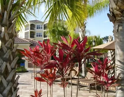 a resort with red plants and chairs and palm trees at Luxury 3-bed Condo Near Disney Worldquest Resort in Orlando