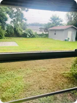 a view of a yard from a window of a house at Light and Easy Getaways in Orlando