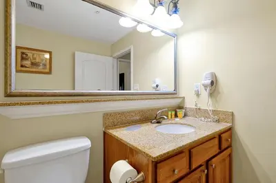 a bathroom with a sink and a mirror at 13415 BLUE HERRON BEACH DR in Orlando