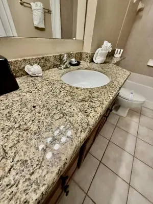 a bathroom counter with a sink and a toilet at Entire Condo - 3Bed 2Bath- 5 mins to Disney Park in Orlando