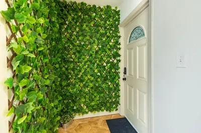 a room with a green ivy wall next to a door at 10 Minutes from Universal - Relaxing Guest Suite in Orlando