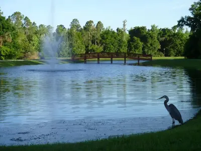 a bird standing in front of a lake with a bridge at Weikva Villa home in Kissimmee